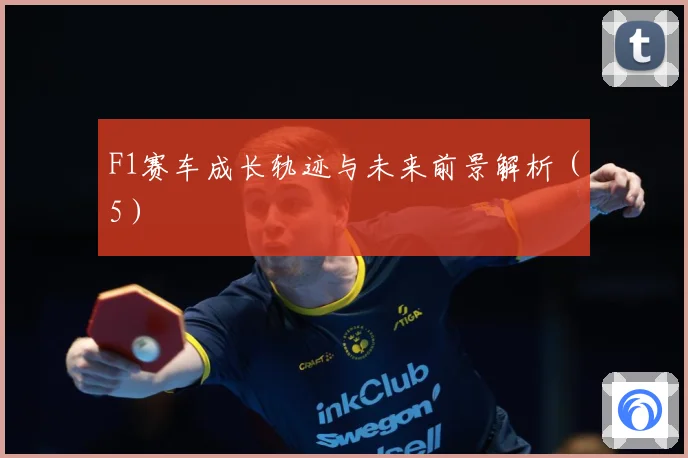 F1赛车成长轨迹与未来前景解析（5）